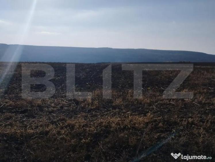 Teren 2,8 ha, langa Autostrada, utilitati aproape, Letcani - 1