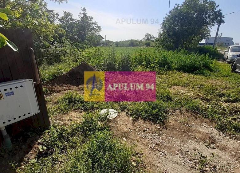 Teren Construcții intravilan de 5000 mp, în Copăceni