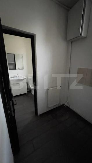 Birou, de 376 mp, în Frații Golești