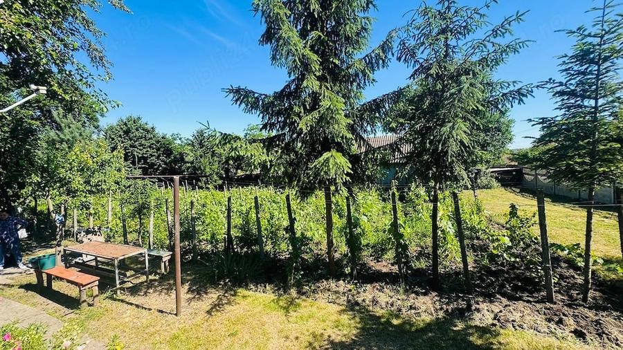 Casă cu Teren 2700 Mp în Iazu Nou