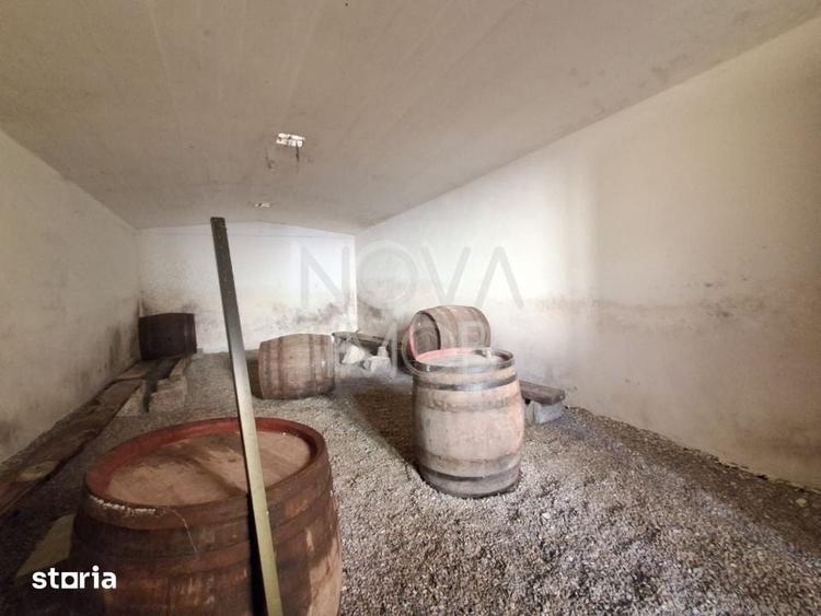 Casă cu 5 camere cu Teren 22852 Mp în Central
