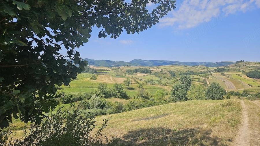 Teren de 4454 mp, în Sichevița