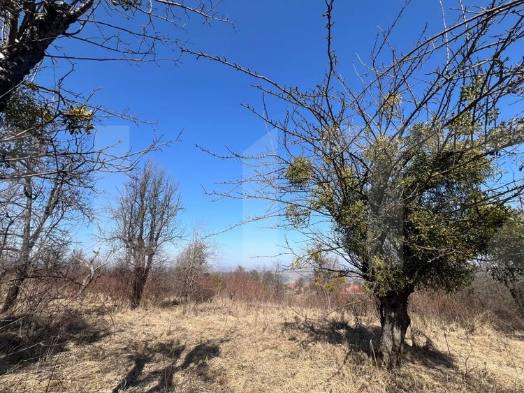 Teren agricol intravilan de 7052 mp, în Gheorghieni