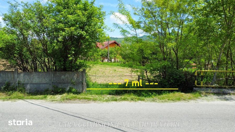 Teren de 1965 mp, în Păușești