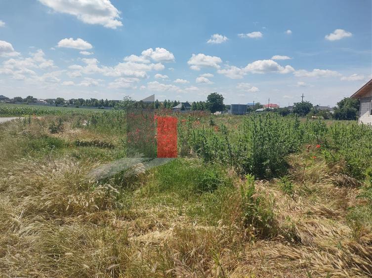 Teren agricol intravilan de 727 mp, în Dobreni