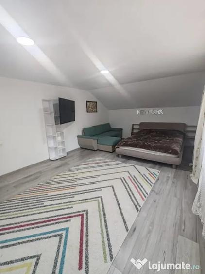 Casă cu 5 camere cu Teren 765 Mp în Valea Borcutului