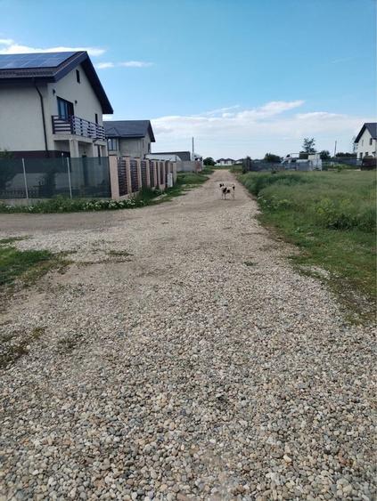Teren Construcții intravilan de 450 mp, în Ciorogârla