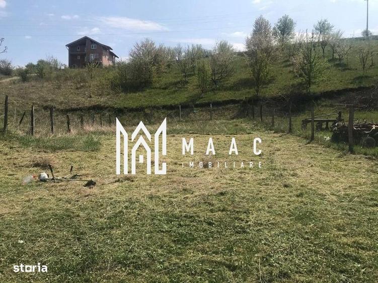 Spațiu comercial, în Șura Mare