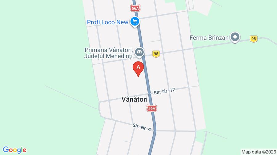 Casa de vânzare in com vinatori ,str principala  nr 504 - 1