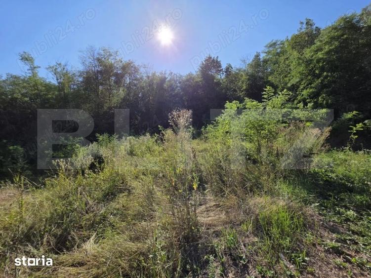 Casă cu 3 camere cu Teren 1820 Mp în Centură
