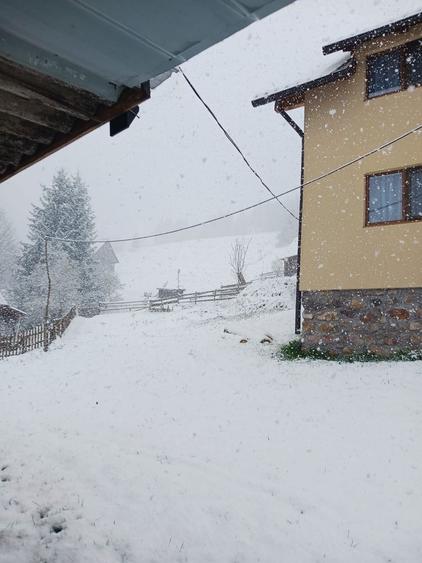 Case si teren de vanzare ALBAC, ALBA - 4