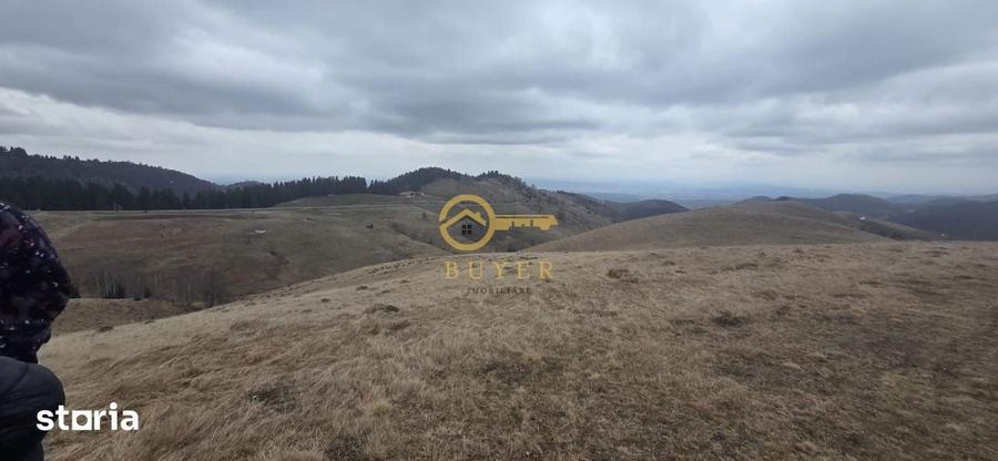 Teren de 2025 mp, în Rășinari