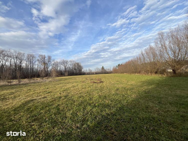 Teren de 7244 mp, în Vicovu de Sus