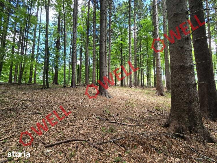 Teren de 23000 mp, în Vama Buzăului