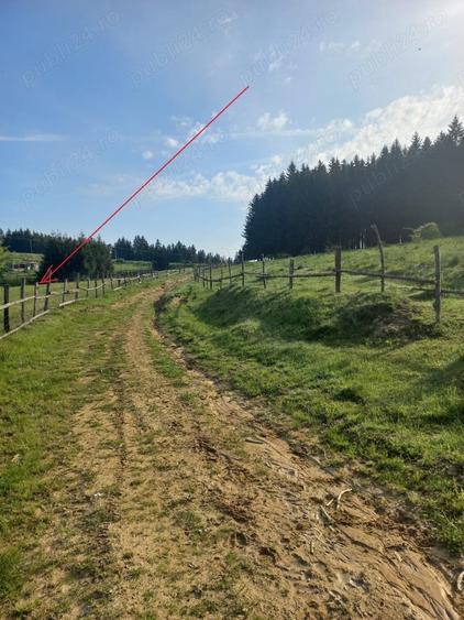 Teren de 2700 mp, în Poiana Sibiului