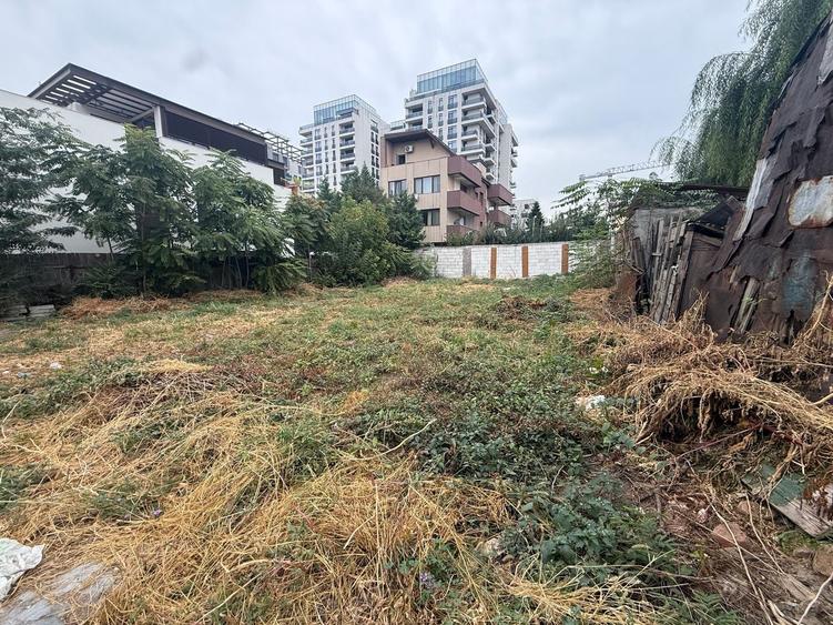 Teren Intravilan | Floreasca | 405 mp - 5