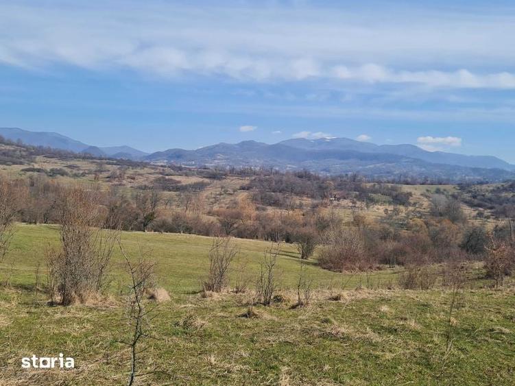 5 - 10 ari Teren pt cabana , picnic , relaxare , liniste , natura . - 1