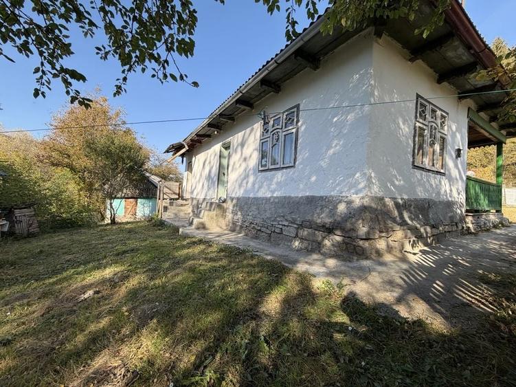 Spațiu comercial, în Hangu