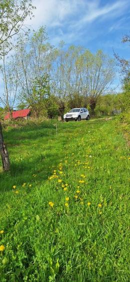 Teren agricol extravilan de 4445 mp, în Nucșoara