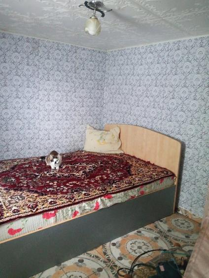 Casă cu 3 camere cu Teren 5000 Mp în Șelaru
