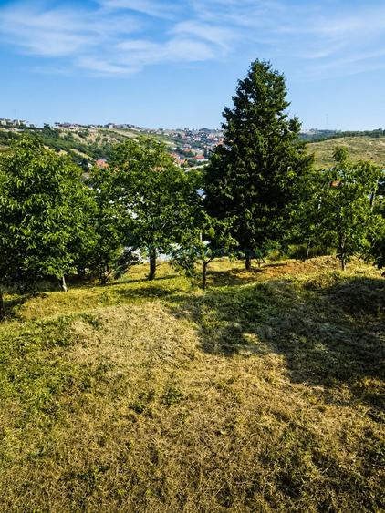Teren in zona verde aproape de oras, zona Doja, Oradea - 9