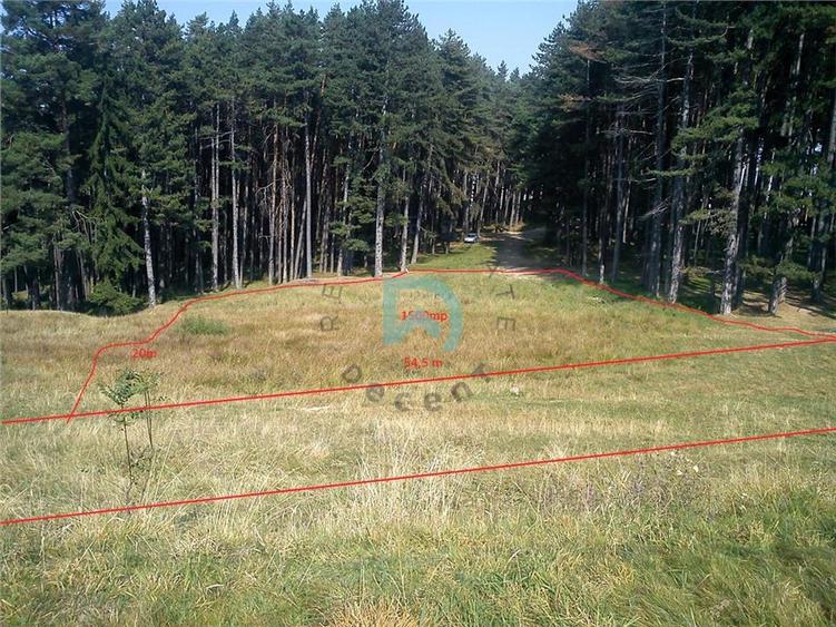Teren Construcții intravilan de 1500 mp, în Poiana Angelescu