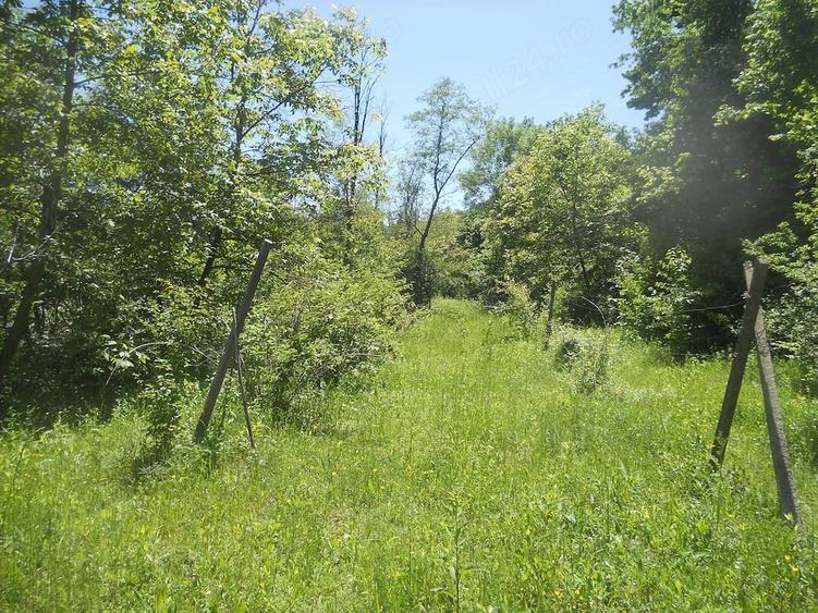 Teren de 10000 mp, în Central