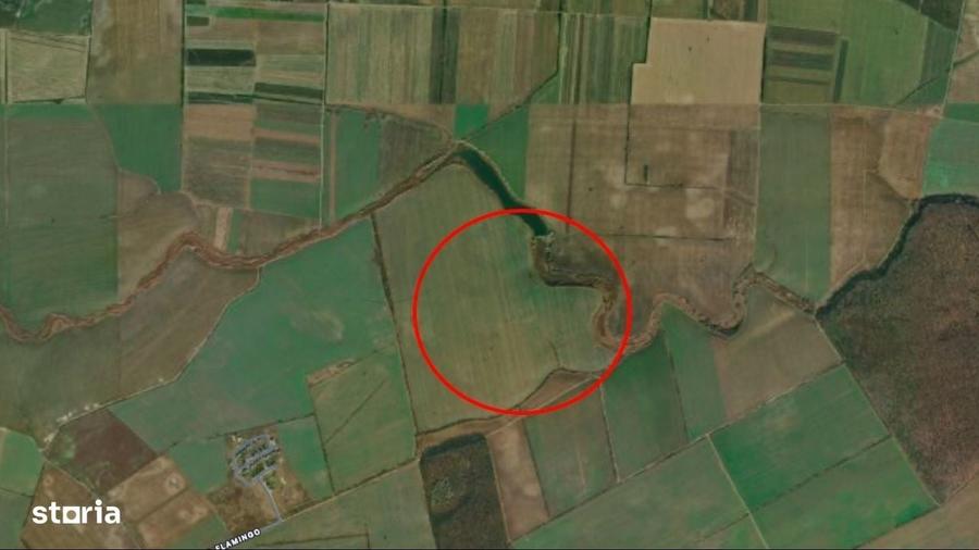 Investitie - Teren extravilan 3 ha langa Padurea Oracu - 2
