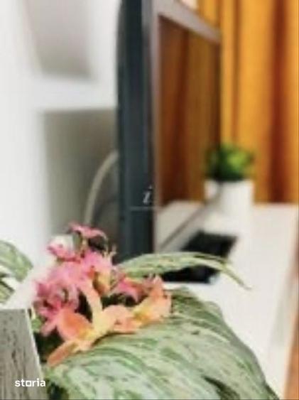 Apartament cu 2 camere în Limanu