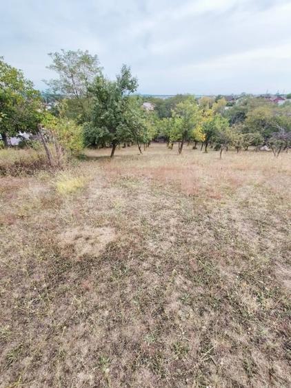 Teren Construcții intravilan de 1693 mp, în Geamăna