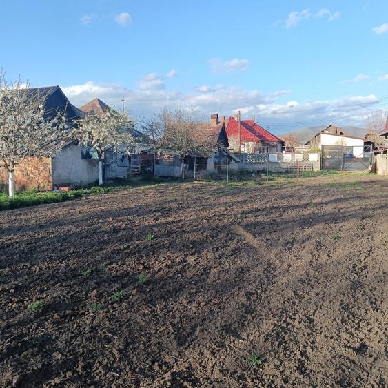 Casă cu 3 camere în Central