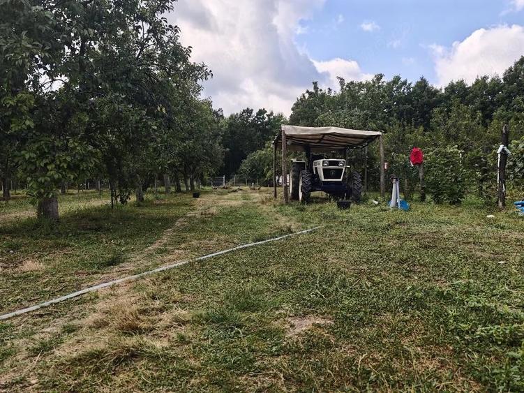 Casă cu Teren 6000 Mp în Bunești (Cotmeana)