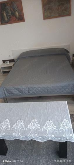 apartament 2 camere Terezian - 2