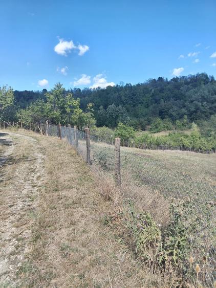 Vand casa ,com.Ladesti,sat.Olteanca, judetul Valcea - 2