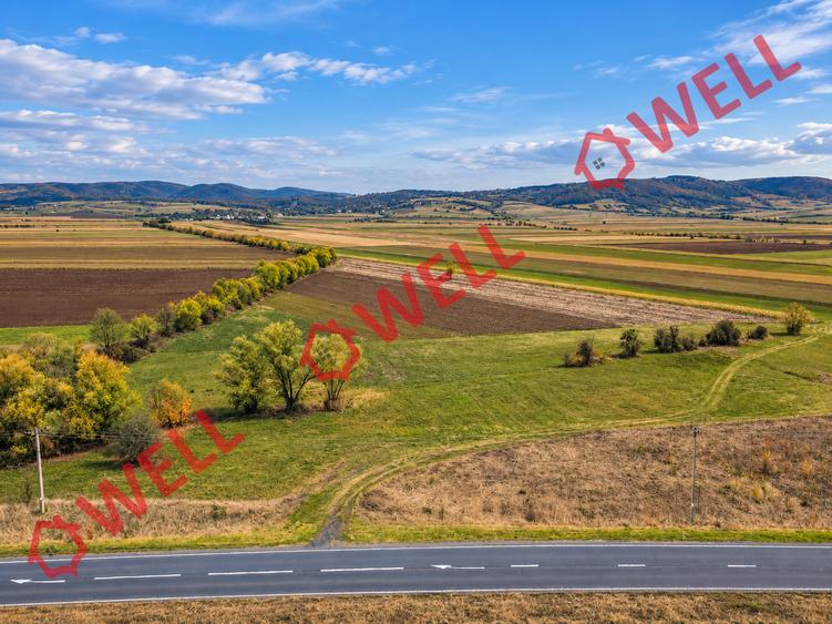 Teren extravilan de 11300 mp, în Bodoc