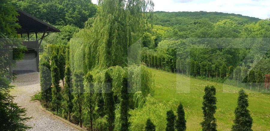 Casă individuală cu 5 camere cu Teren 3000 Mp în Făget