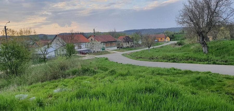 Casă cu Teren 2000 Mp în Valea Mare