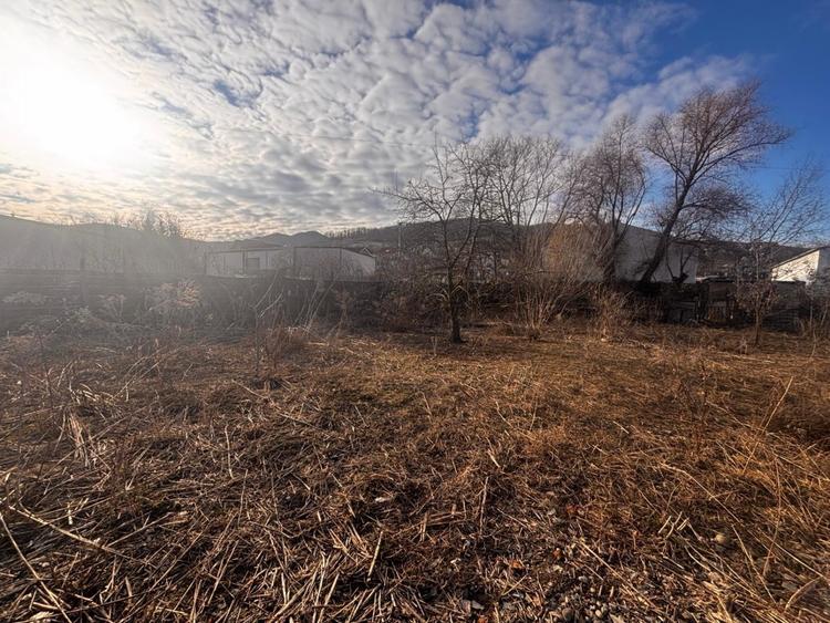 Teren Construcții intravilan de 2600 mp, în Viișoara