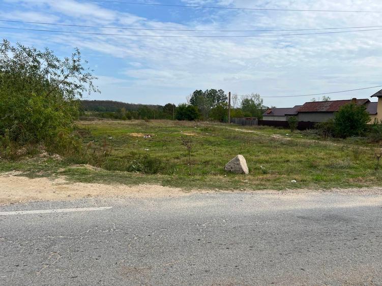 Teren Construcții intravilan de 7003 mp, în Optași