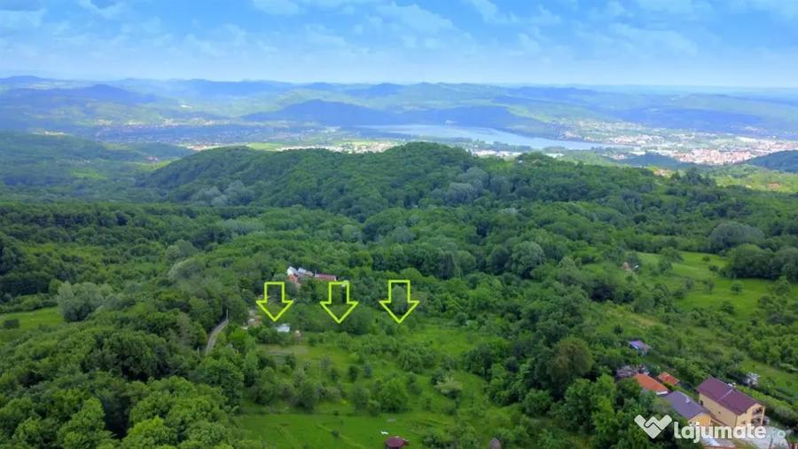 DEALUL MALULUI TEREN 1500 MP INCONJURAT DE PADURE - Ramnicu Valcea (Valcea) - 6
