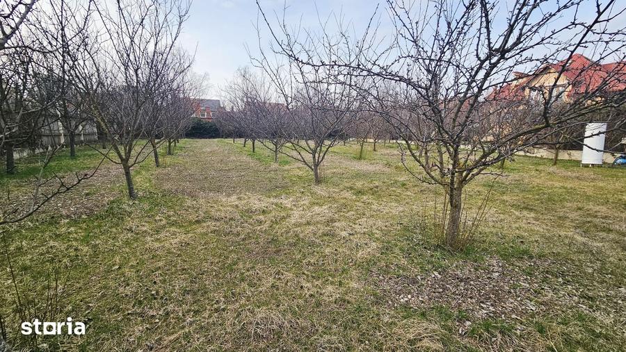 Teren ideal resedinta in Iancu Nicolae - Pipera | 1000 mp | Utilitati - 9
