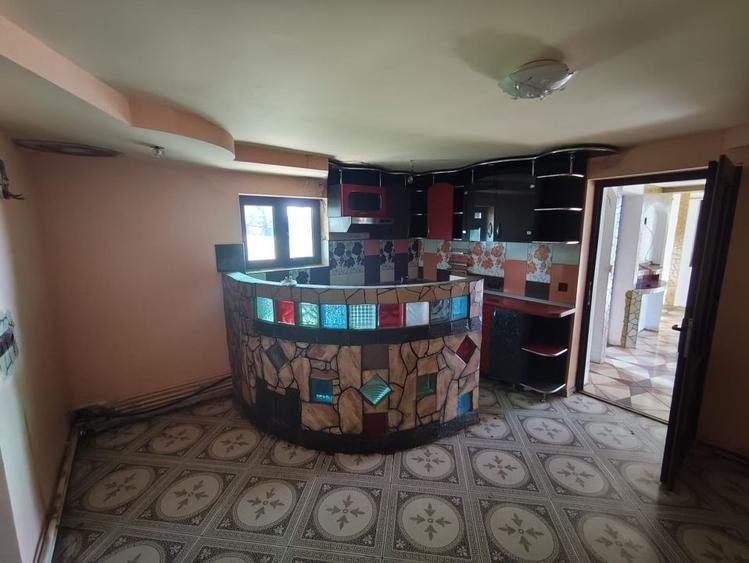 Casă cu 3 camere cu Teren 5000 Mp în Valea Crișului