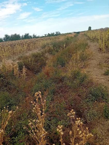 Teren de 457 mp, în Central