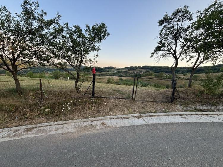 Vand teren intravilan construibil cu panorama deosebita - 2453 mp Rosia - 4