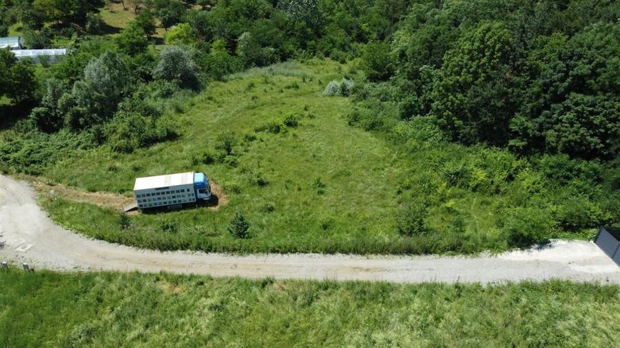 Teren Construcții intravilan de 5681 mp, în Vlădești