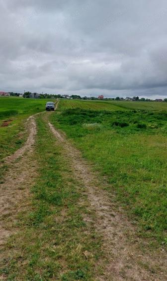 Teren 7300 mp Salcea, Suceava 17 euro mp - 3