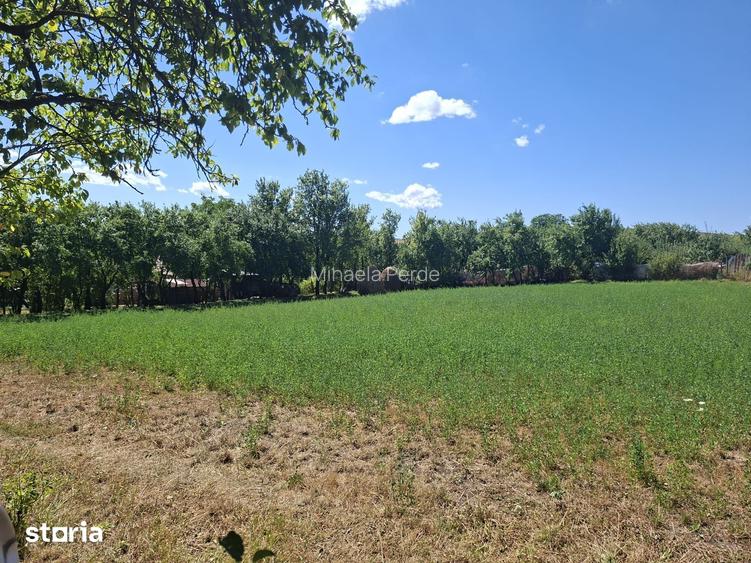 Teren cu utilitati si casa veche in Rediu