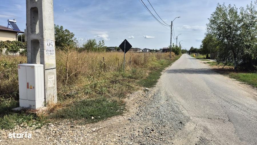 Teren intravilan 700 mp la asfalt in Orasul Magurele - 8
