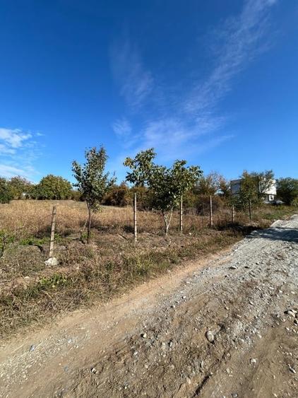 Teren Construcții de 2600 mp, în Cârcea