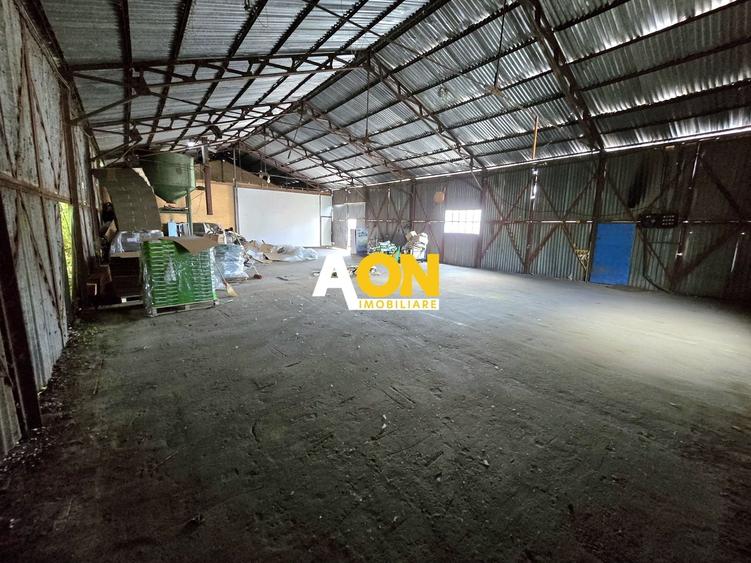 Spațiu industrial, de 180 mp, în Ampoi 1